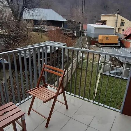 Manuela Apartment Sinaia