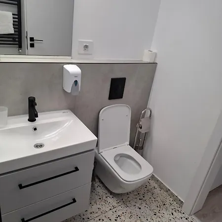 Manuela Apartment Sinaia