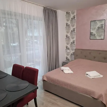 Apartment Manuela Sinaia